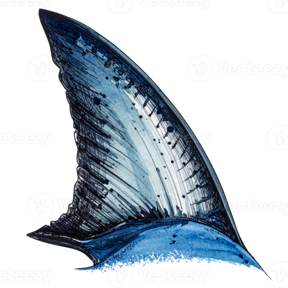 Blue Shark Fin Illustration on Transparent Background png