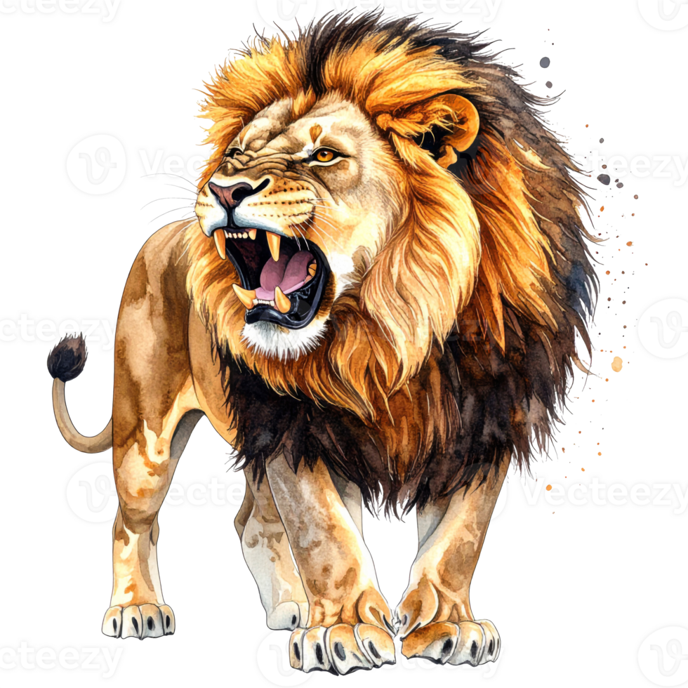 Roaring Lion Watercolor Painting on Transparent Background png