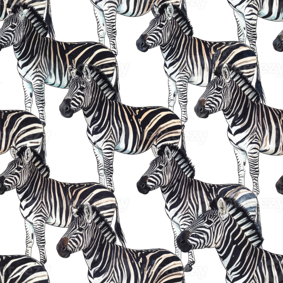 Black And White Zebra Seamless Pattern On Transparent Background png