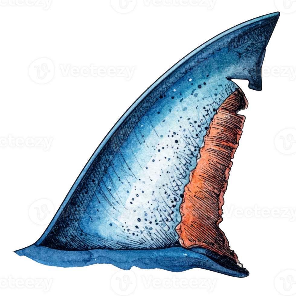 Blue and Orange Shark Fin Watercolor Illustration png