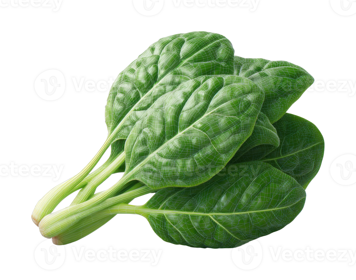 Fresh spinach leaves piled together for healthy cooking png