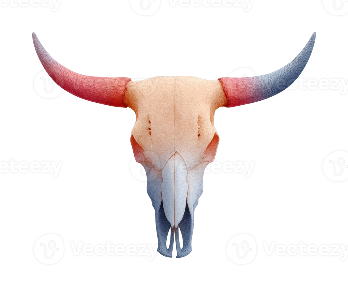 Colorful bull skull with red and blue horns png
