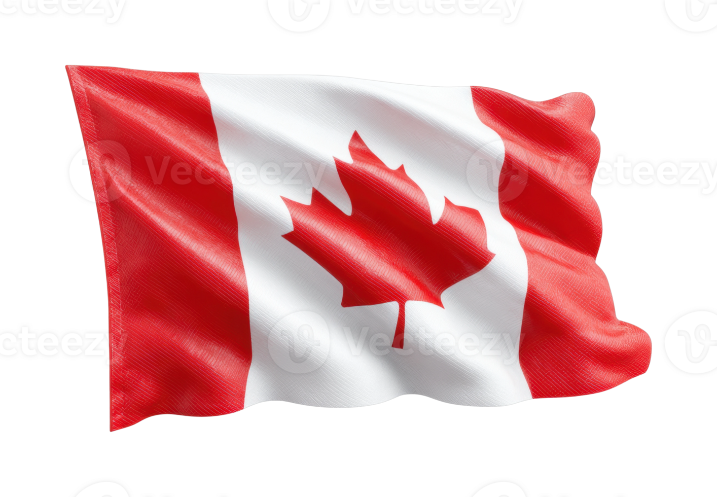 Canadian national flag waving with red maple leaf on white background png