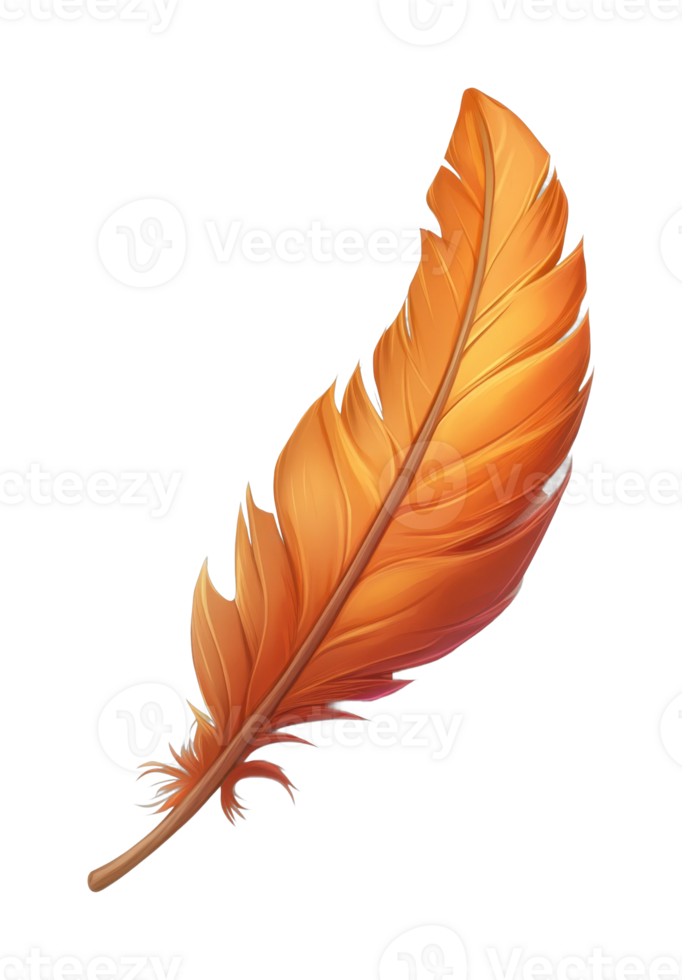 Realistic vibrant orange feather with detailed texture png