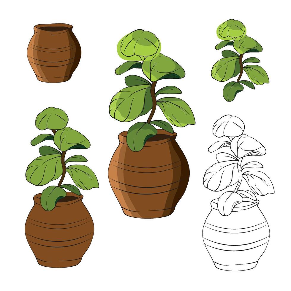 Illustration of plant pots and plants vector