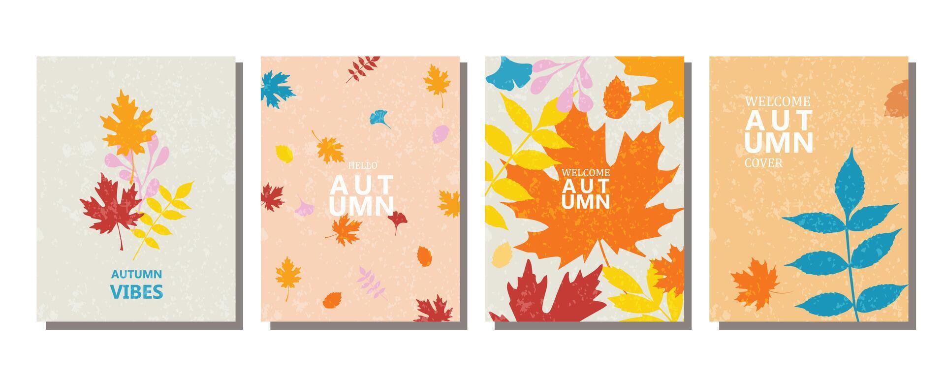 Colorful autumn leaf designs collection vector
