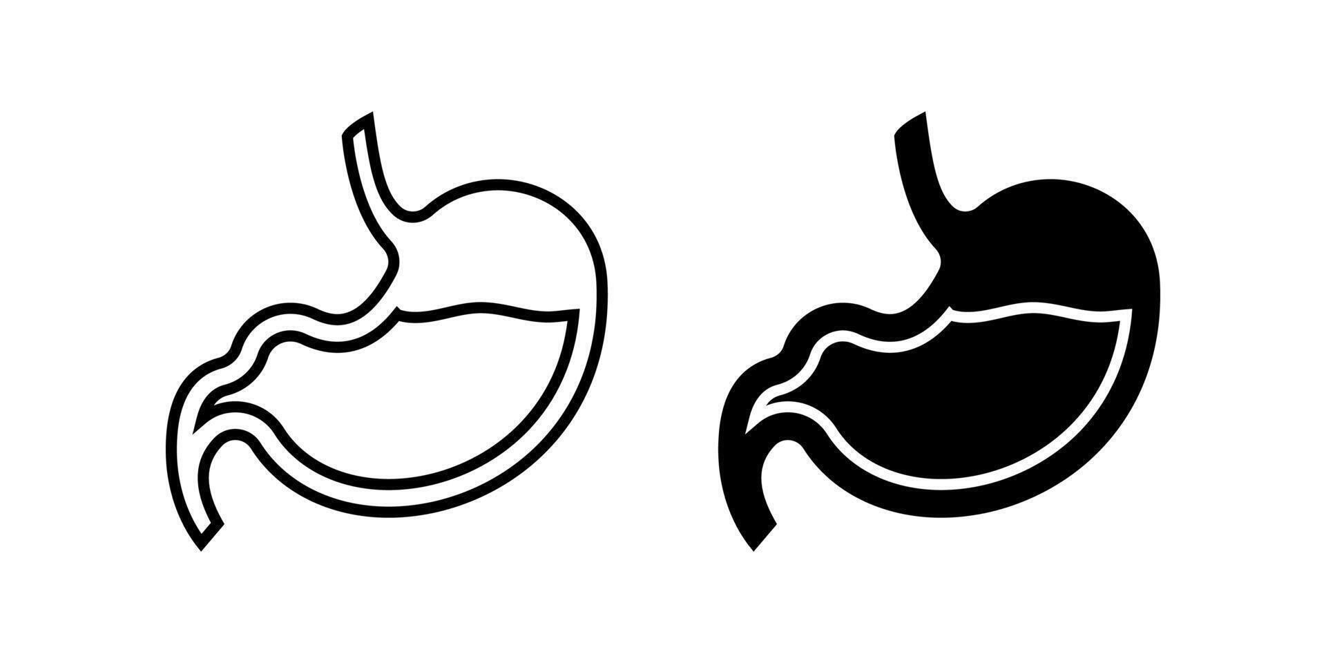 Stomach icon set. A simple minimalist illustration of a human stomach in both outline and solid styles. Suitable for medical, educational, and health related projects. vector