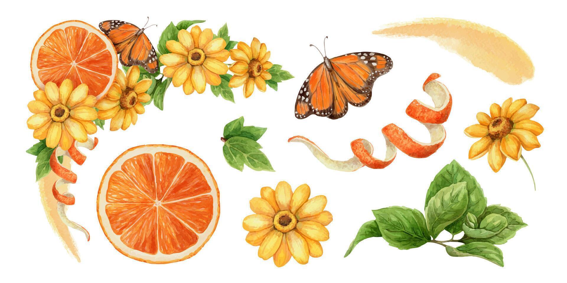 Butterflies and flowers illustration vector