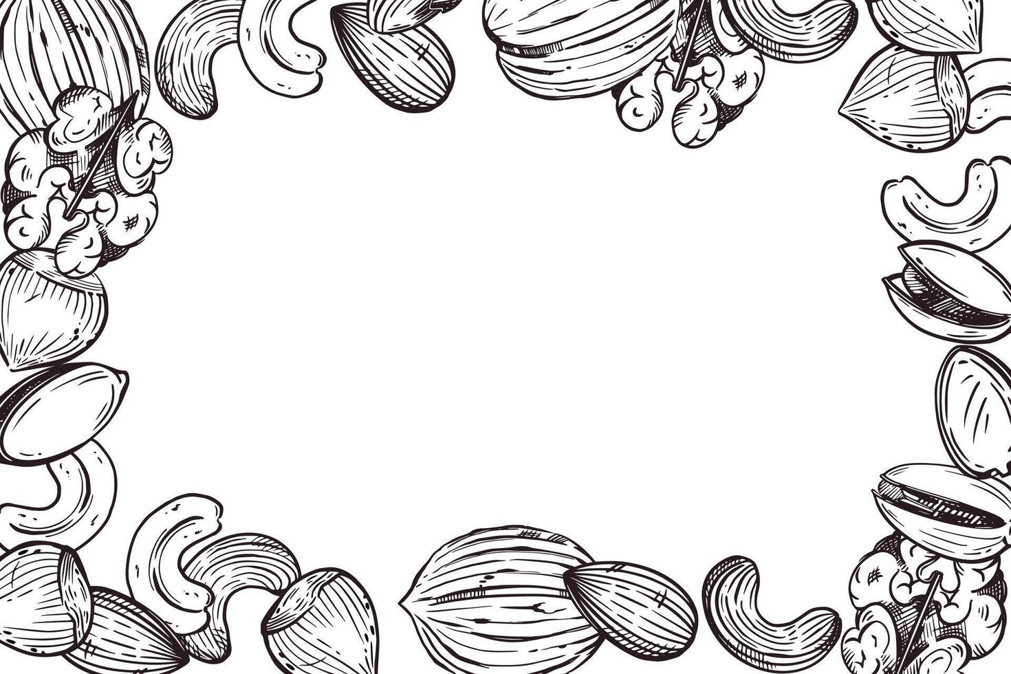 Rectangular frame of nuts, walnuts, almonds, cashews. All objects are hand-drawn in ink. The illustration is suitable for the decoration of the packaging of nuts, other food and cosmetics vector