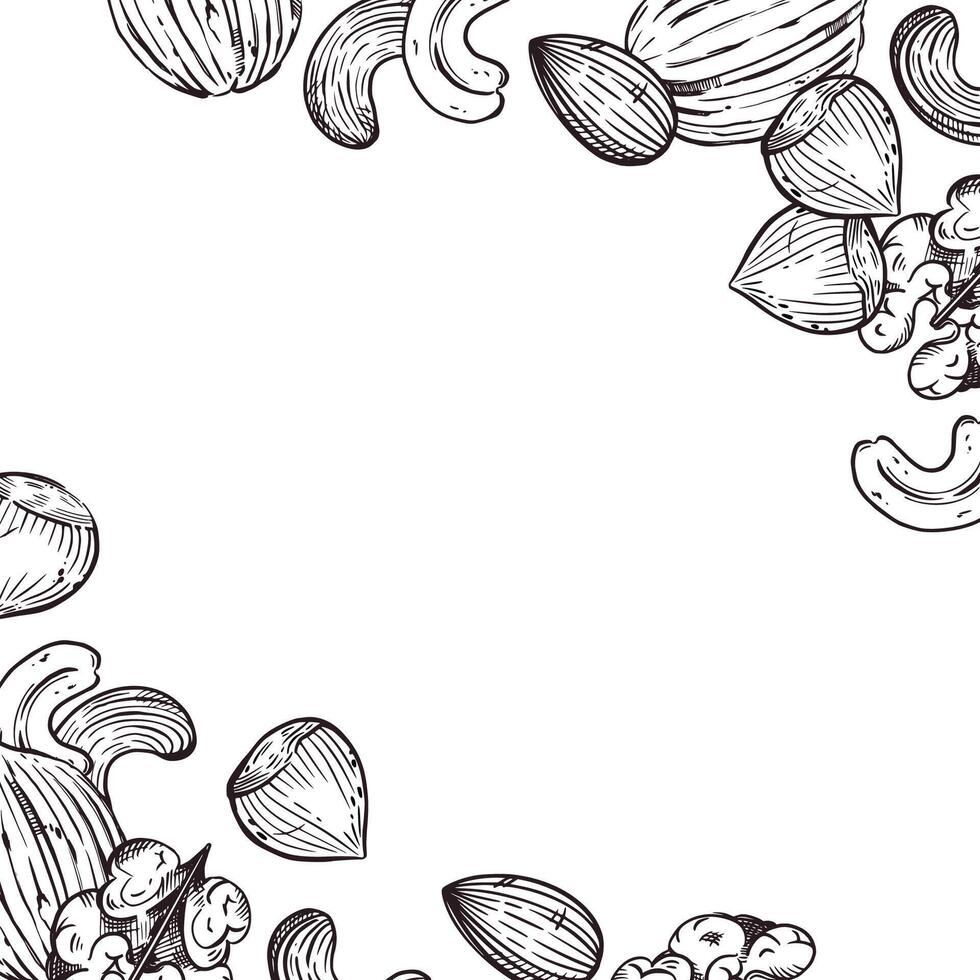 frame of nuts, hazelnuts, cashews, walnuts, almonds, all objects are hand-drawn with ink. The illustration is suitable for printing on fabric, paper, kitchen towels, tableware decor vector