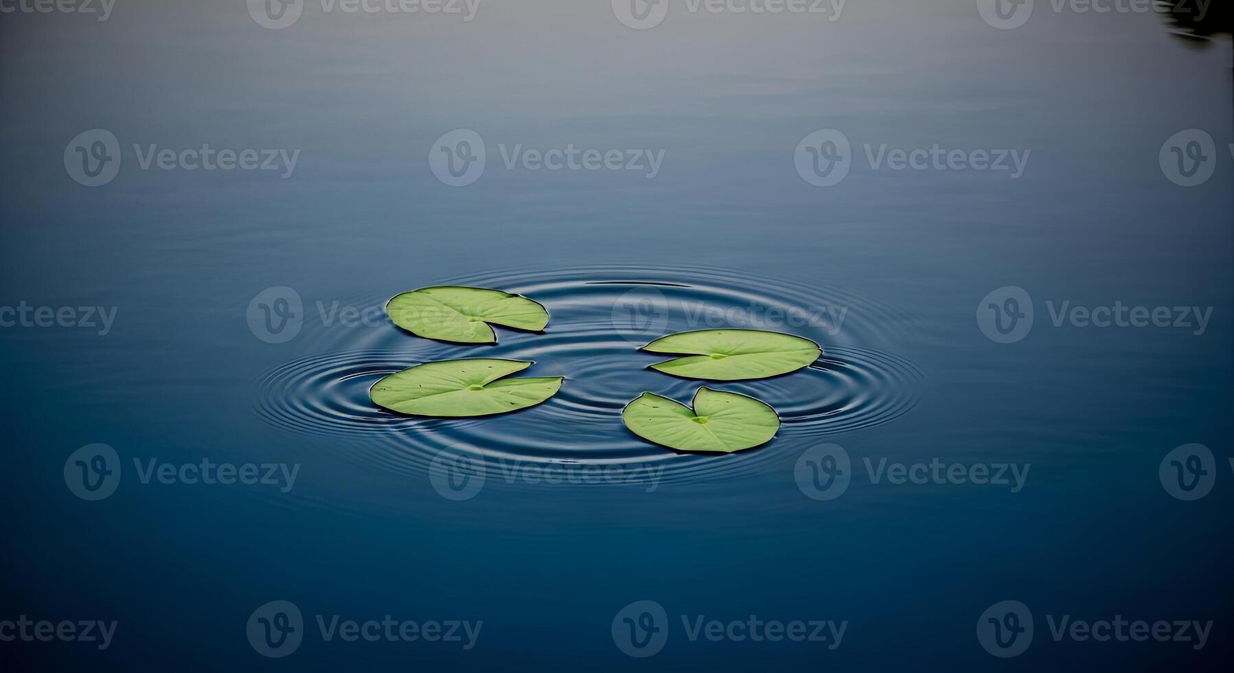 Four green lily pads float on a calm blue pond, creating gentle ripples photo