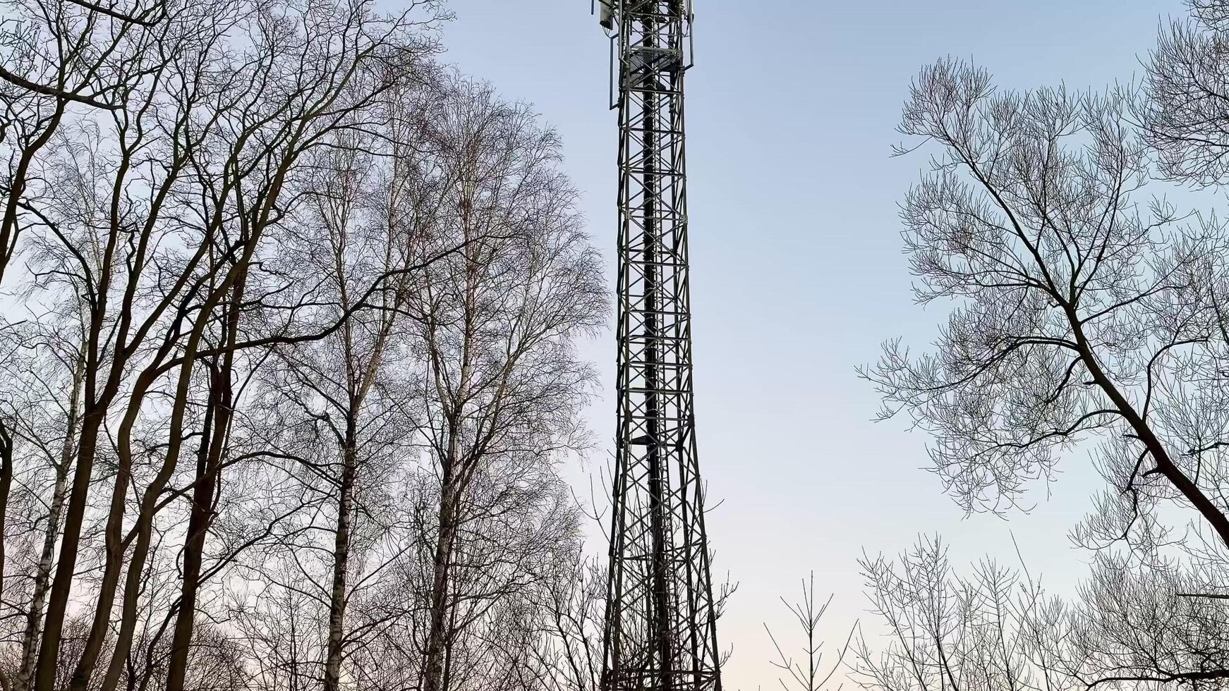 A Cell Tower is Surrounded by Lush Trees Beneath a Clear and Beautiful Sky Above photo
