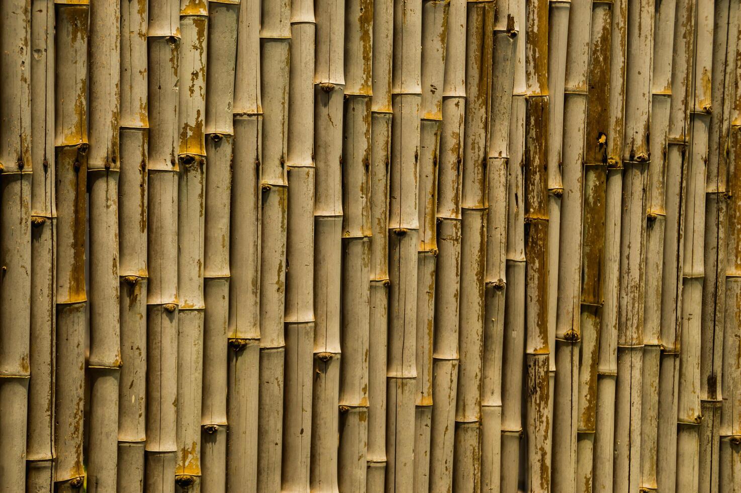 A close up of a bamboo wall with many different types of wood photo