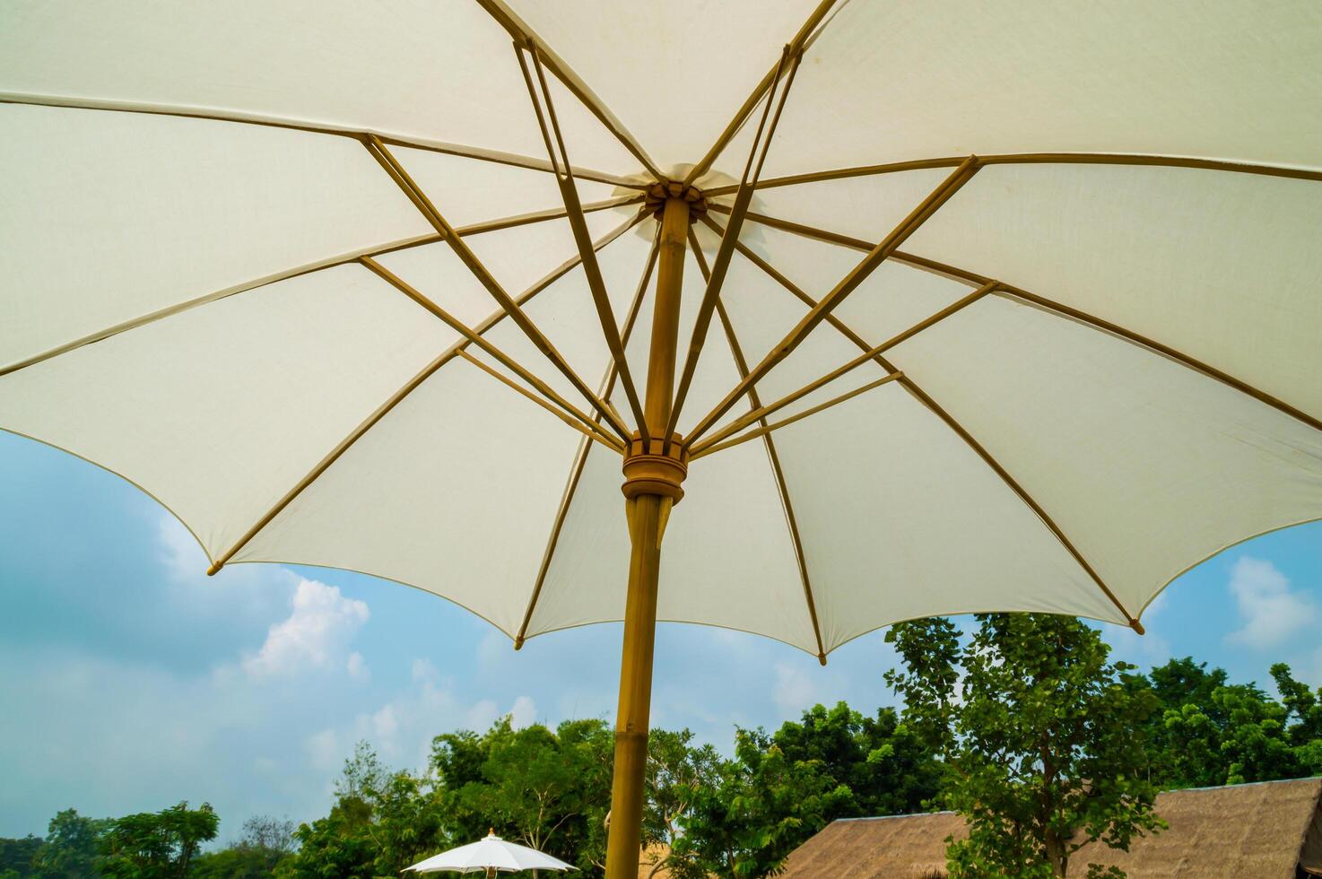 A white umbrella photo