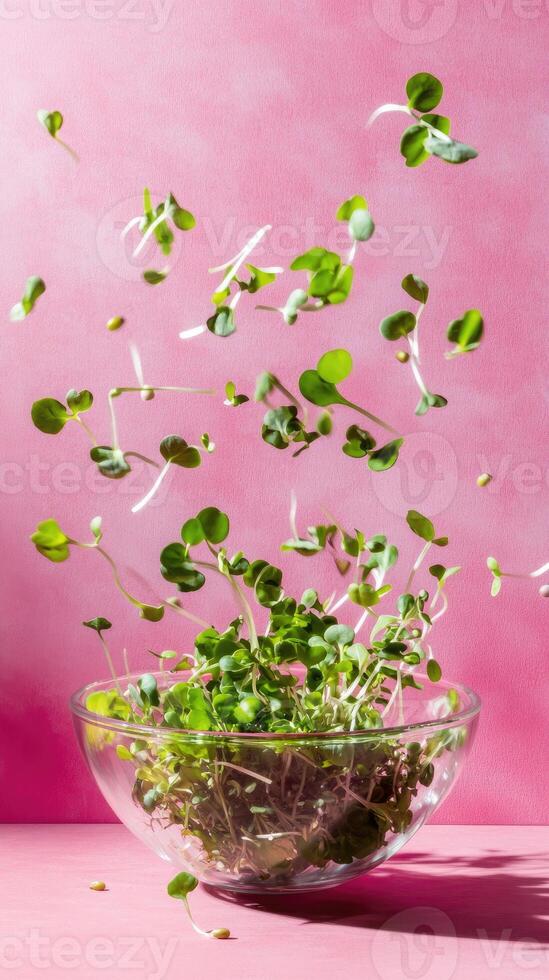 Vibrant fresh microgreens in a handmade bowl animated against a bold pink backdrop photo