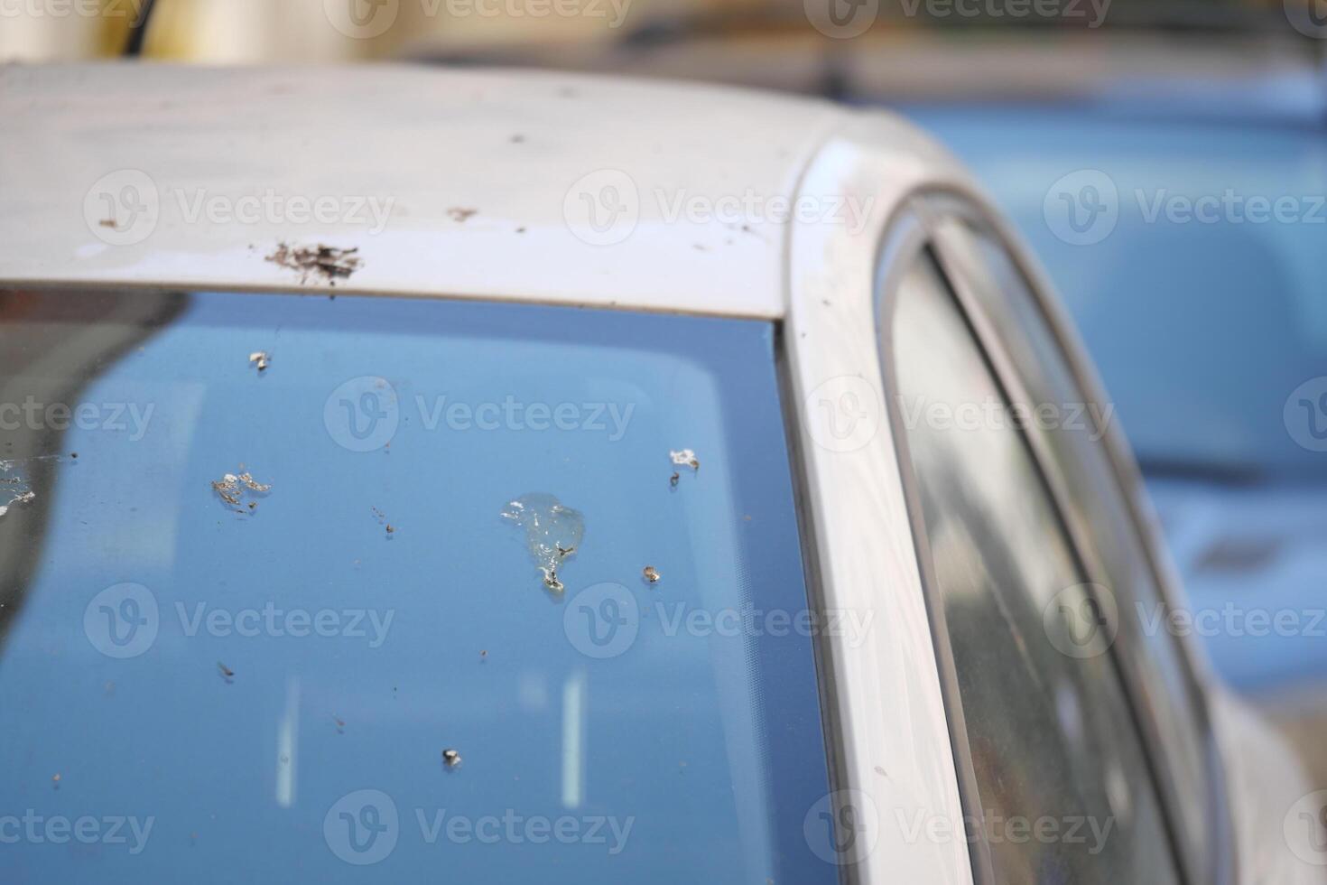 Close-Up of a Car Windshield With Dirt and Imperfections Outdoors photo