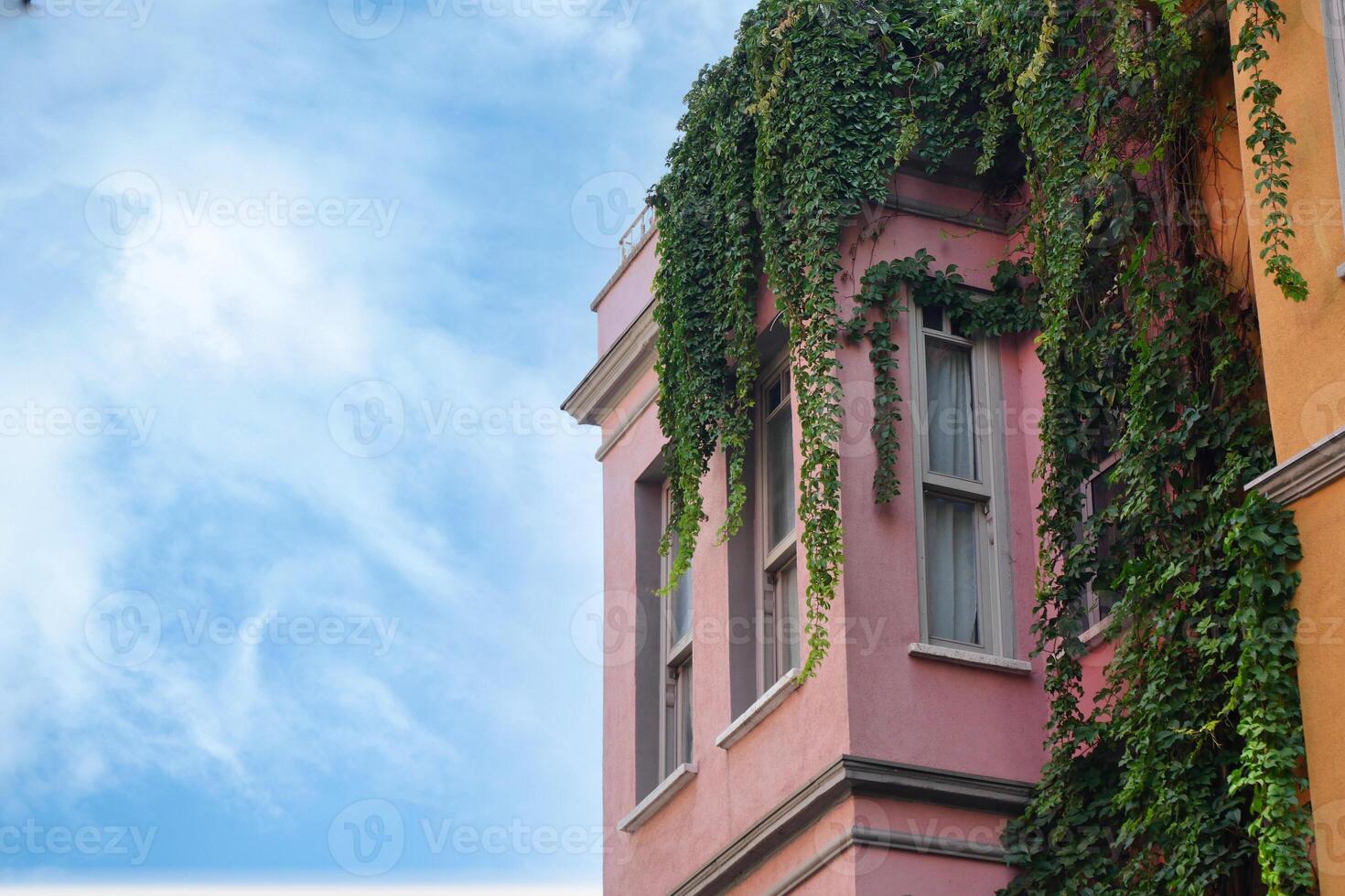 Vibrant building with lush green vines in urban setting photo