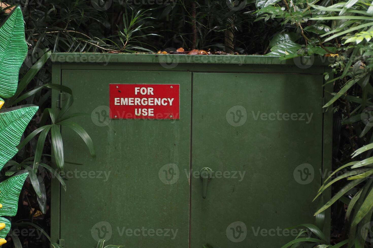 Green emergency cabinet situated in lush tropical vegetation photo