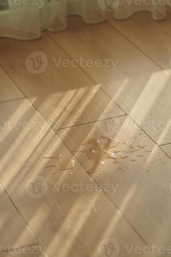Water spill on wooden floor with sunlight streaming in photo