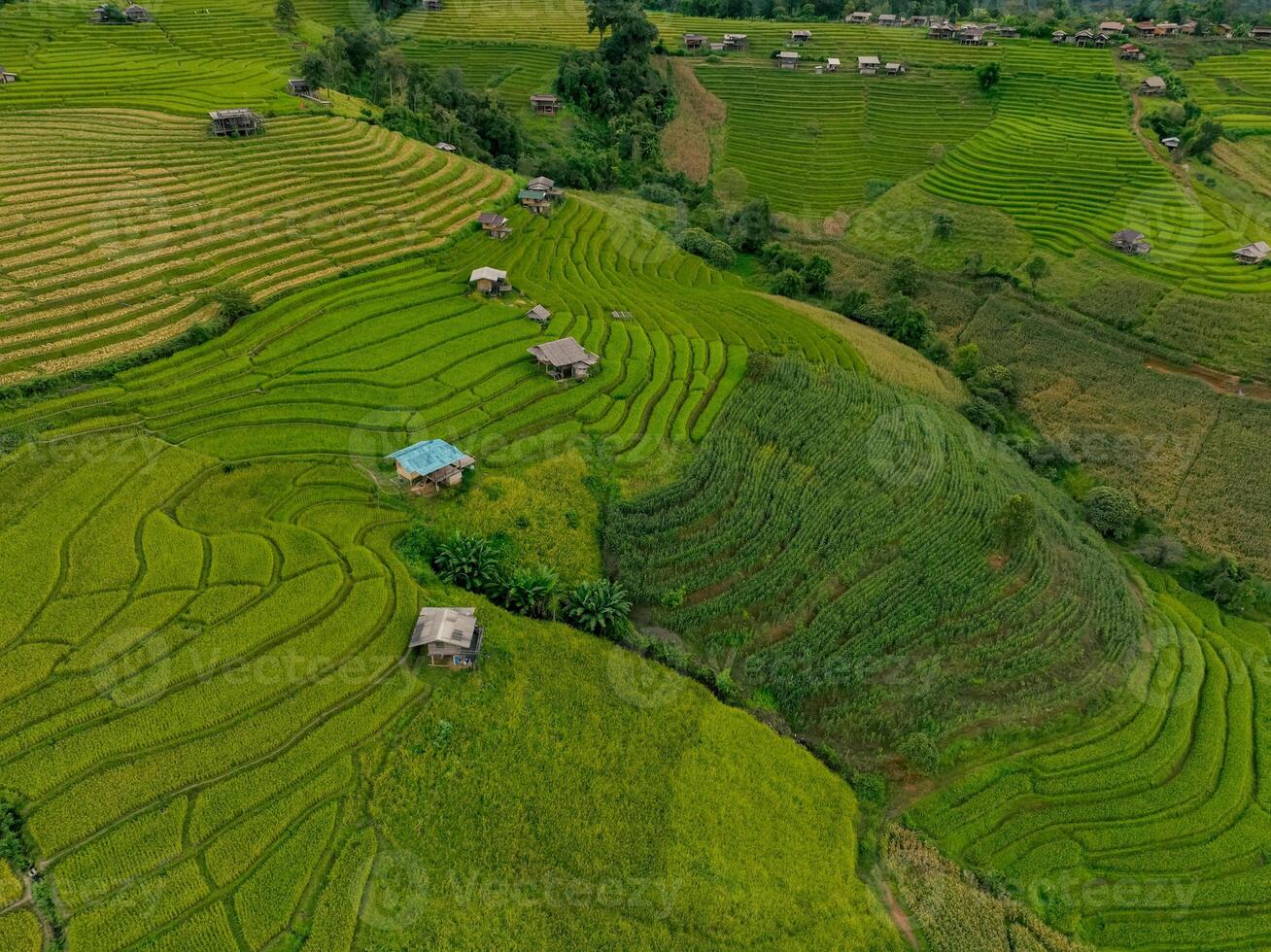 Scenic terraced fields and traditional homes surrounded by lush vegetation in remote Thai countryside under overcast sky, promoting sustainable travel, cultural heritage, and organic farming. photo
