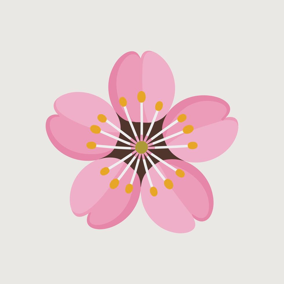 Flat Cherry Blossom Illustration in Pink Shades Beautiful Sakura Flower Design Perfect for Spring, Nature, Greeting Cards, Decoration, or Japanese Themes. vector