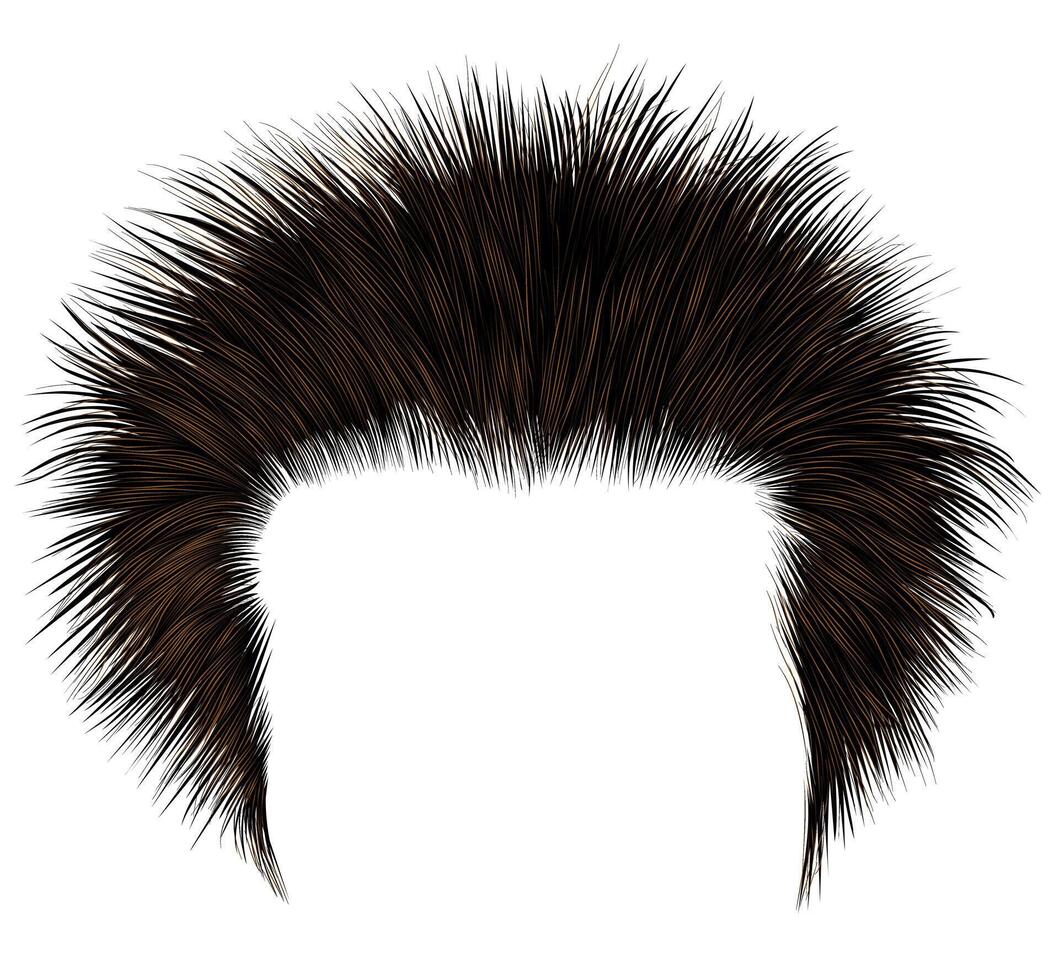trendy shaggy man hairs brown colour. beauty style.high hair styling . vector