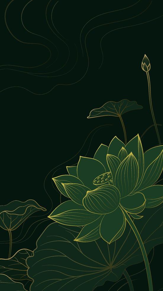 Vertical Chinese style linear lotus illustrations line background vector