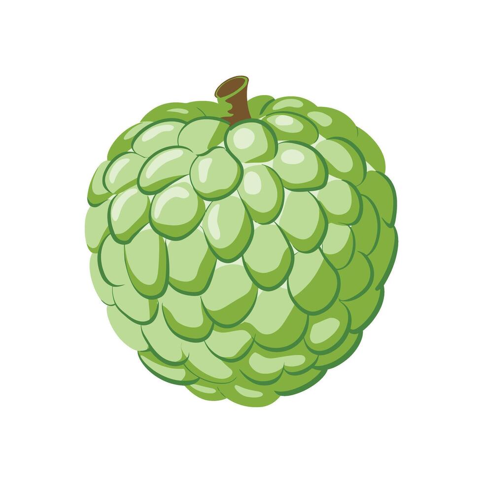 Green apple, fruit, illustration isolated on white background vector