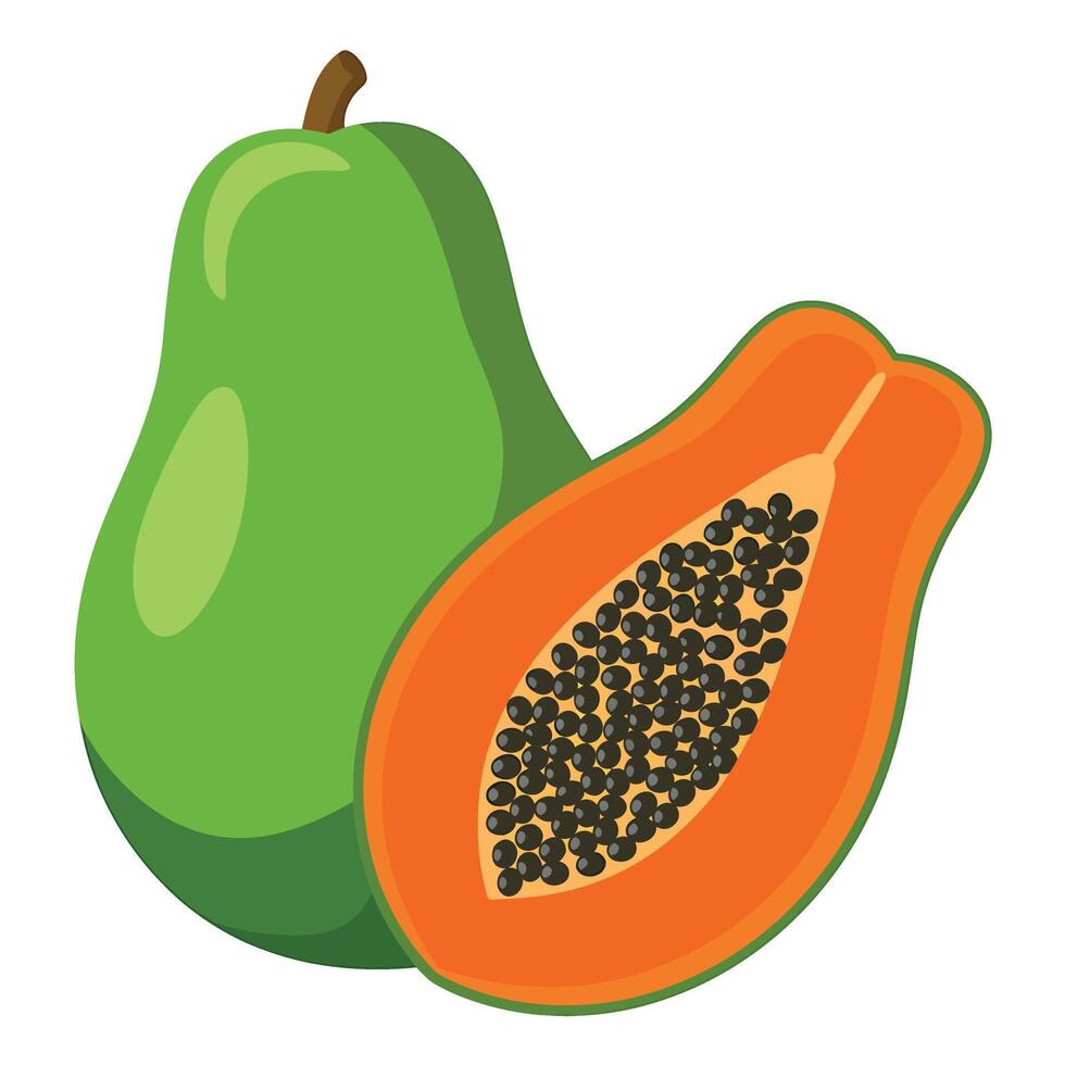 Papaya and pomegranate fruit icon illustration vector