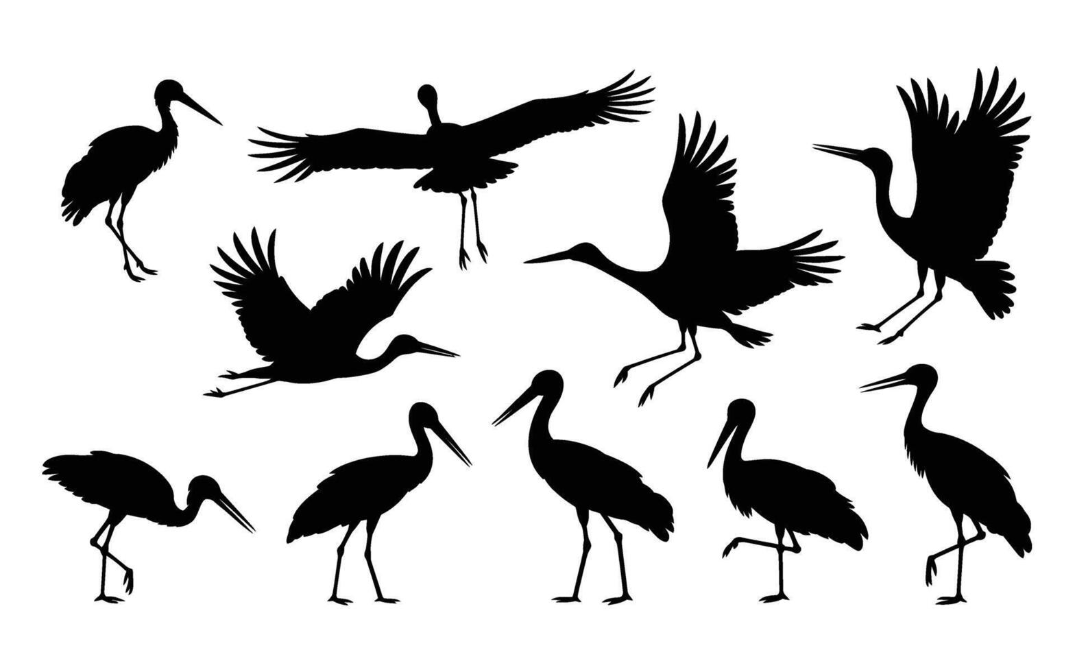Silhouettes of birds on a white background vector