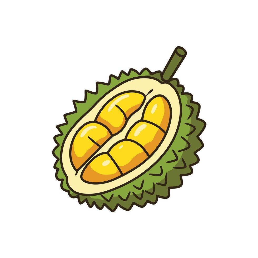 Durian fruit illustration isolated on white background vector