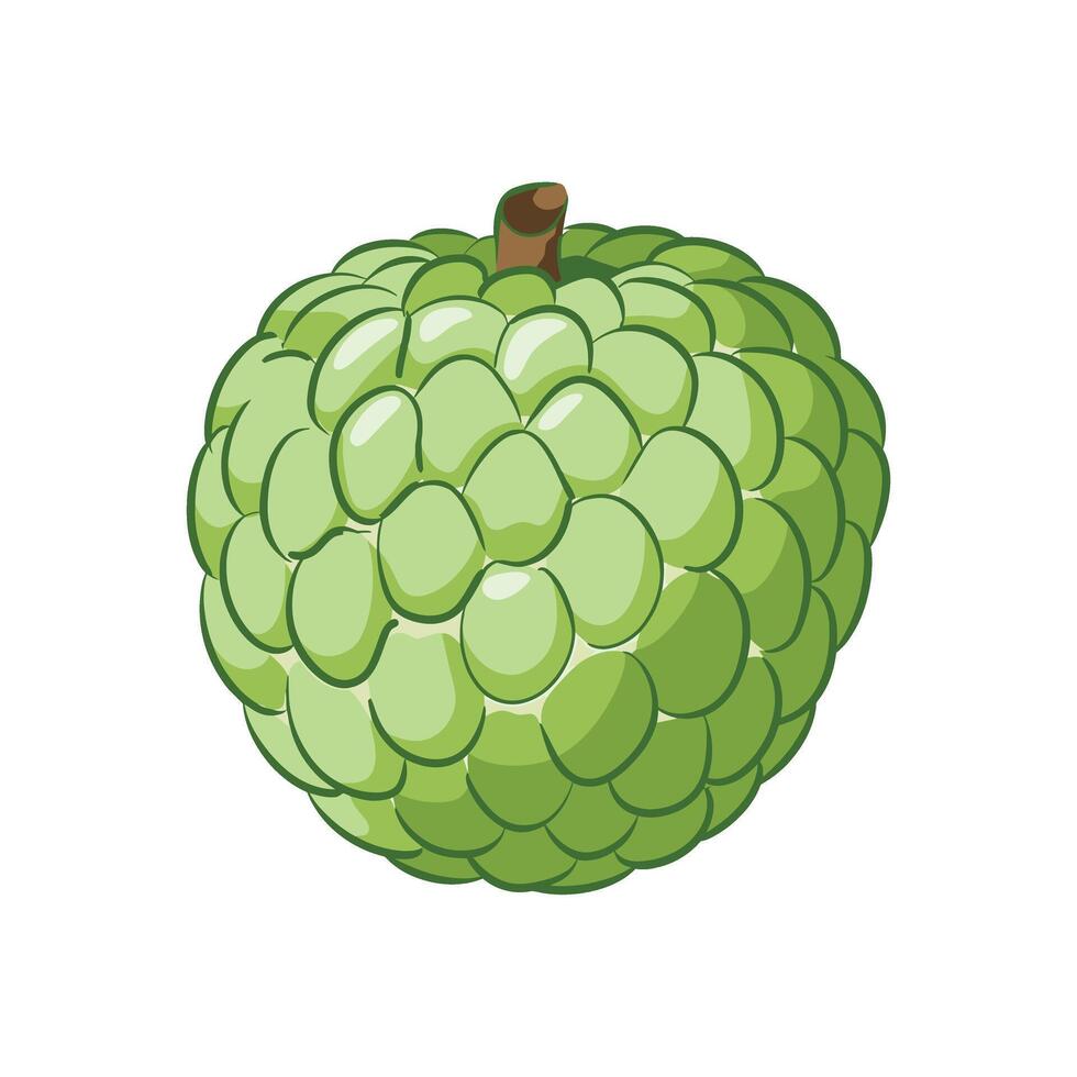 Sour apple, green fruit, illustration on white background vector