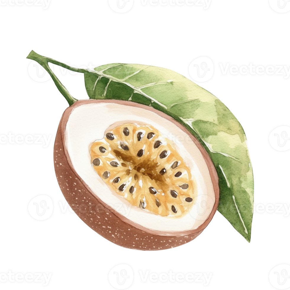 Illustration of a ripe fruit with seeds and green leaves on a light background emphasizing natural design and color png