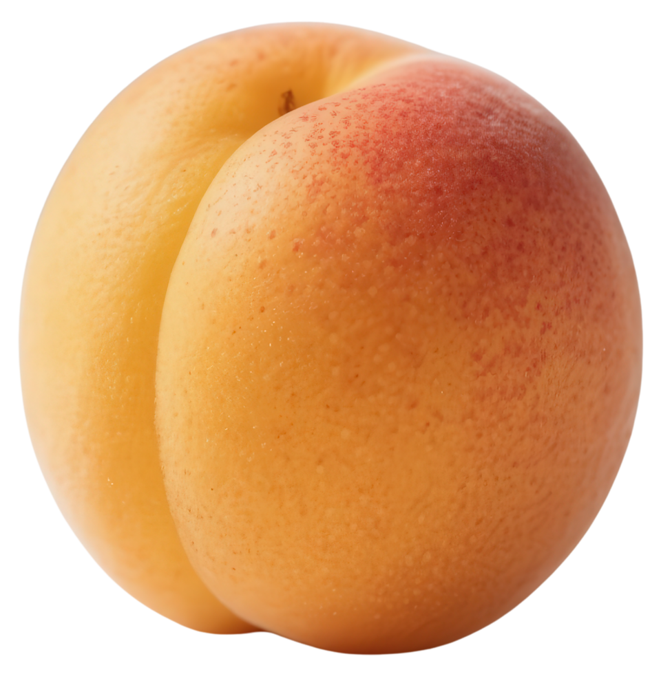 Apricot isolated on transparent background png