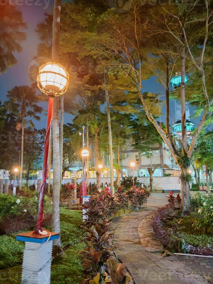 Tranquil Nightscape Illuminated Park Path Leading to a Distant Mosque photo