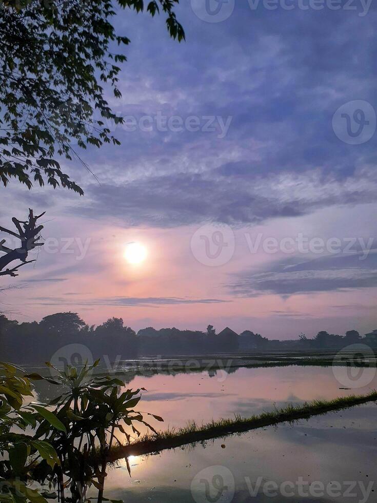 Serene Sunrise Over Flooded Rice Fields, Reflecting Sky's Hues, Tranquil Landscape. photo