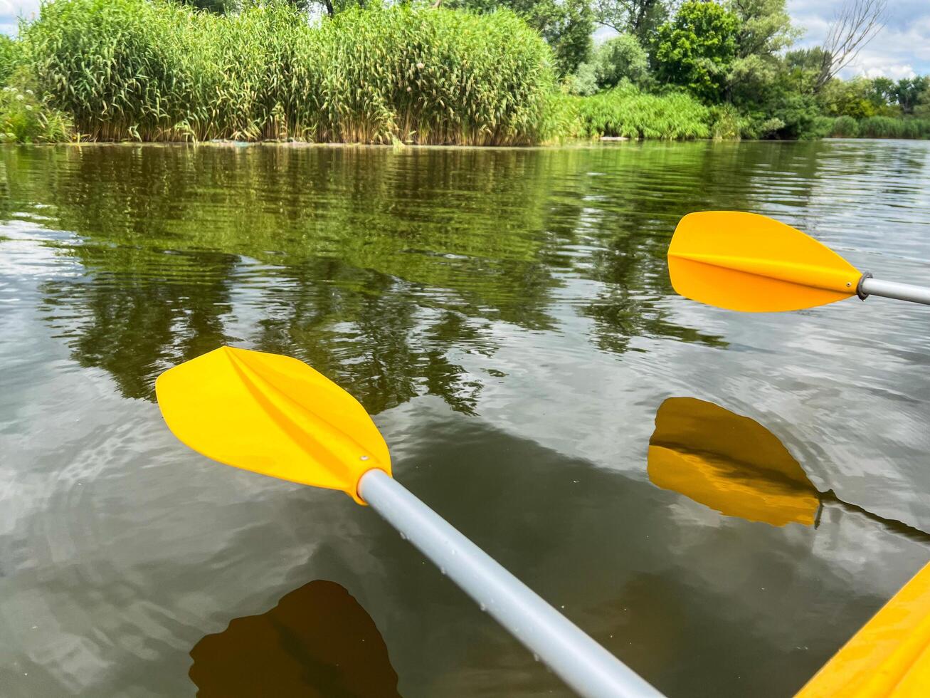 Kayaking on the river with bright yellow paddles and lush green riverbank photo