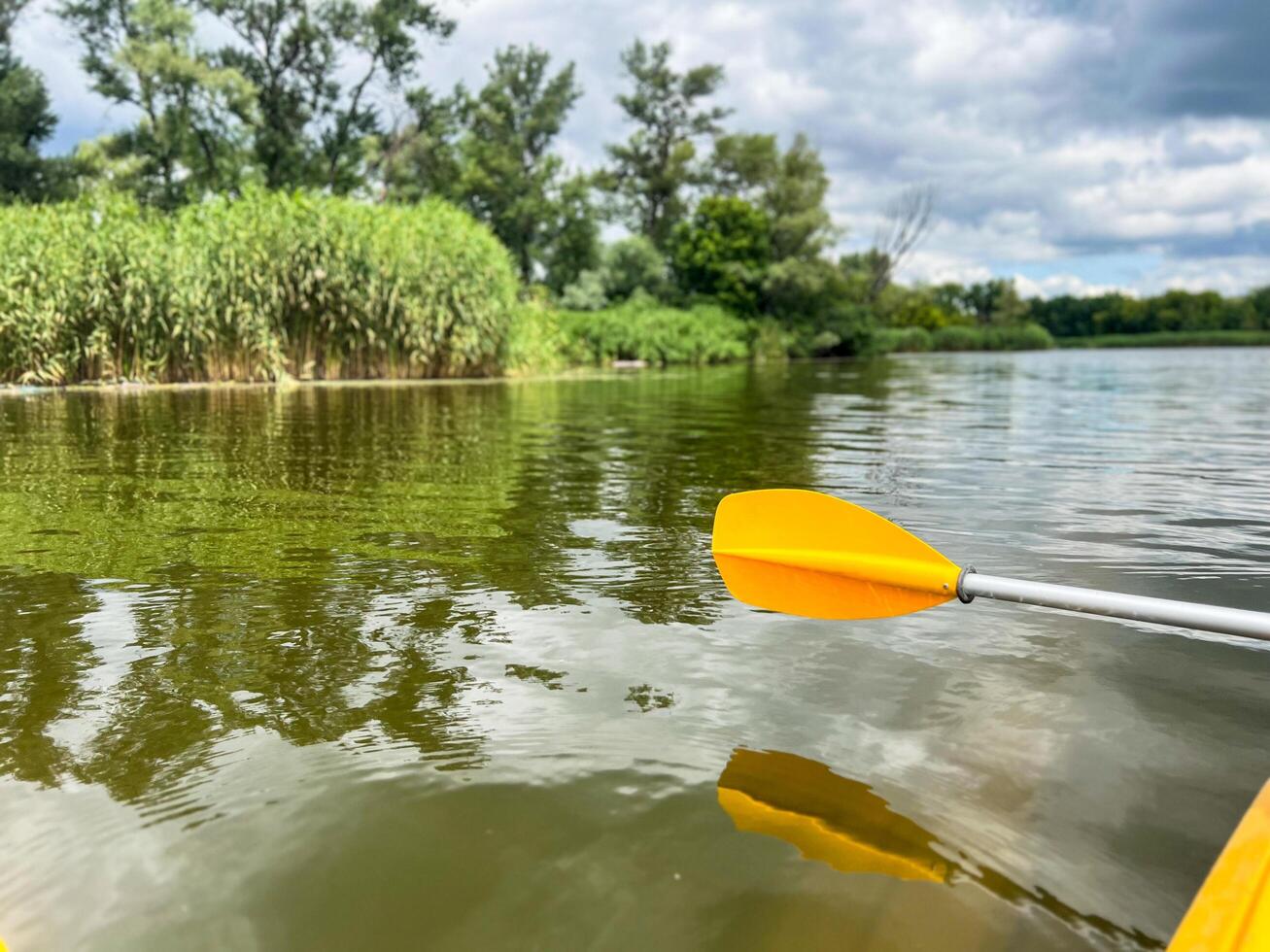 Kayaking on the river with yellow paddle and lush green bank photo