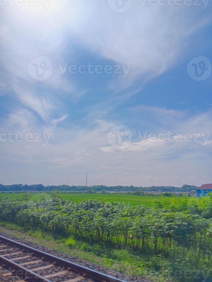 Tranquil Countryside View from a Train, Lush Green Fields and a Clear Sky photo
