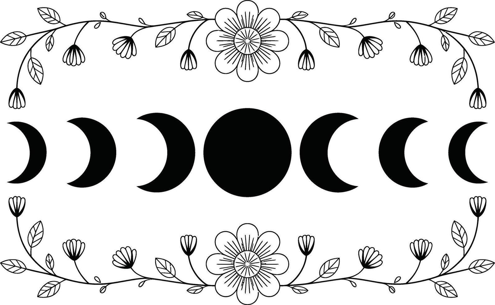 Black and White Moon Phases with Floral Border phases of the moon vector