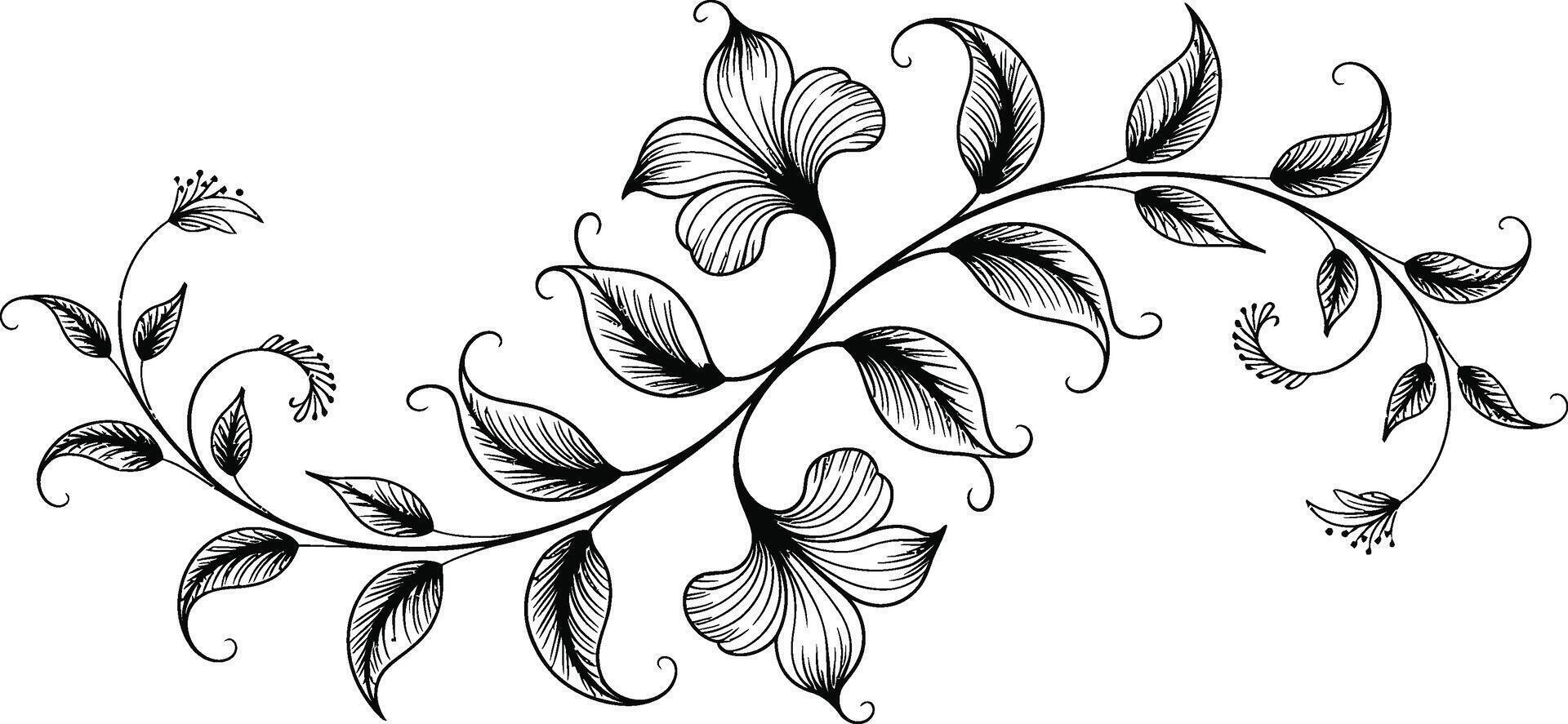 Black and White Floral Vine Illustration with Leaves and Flowers vector