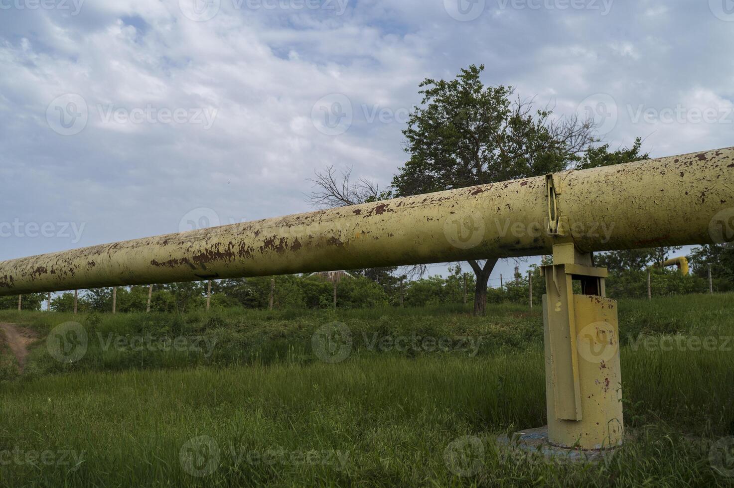 Gas pipe goes across the field. Huge pipe in diameter yellow color against the background of rural landscape, green grass in the field. Concept of ecological safety and infrastructure. photo