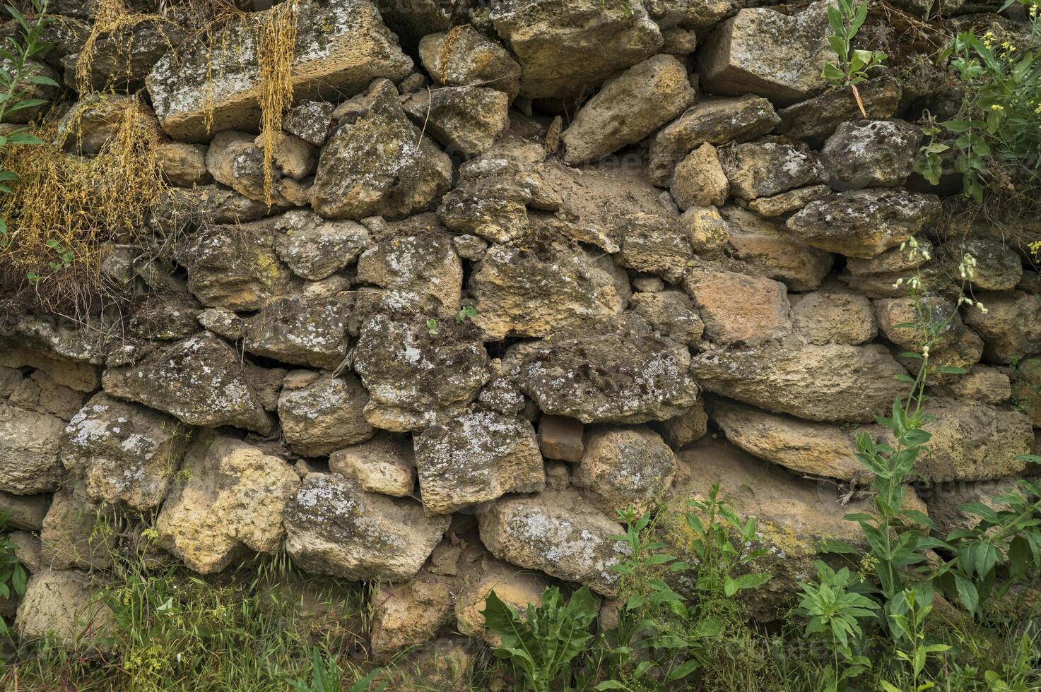 background of old stones surrounded by green plants. textured old masonry made of wild stone. place for text . old stone fence, made of large boulders and stones, High quality photo