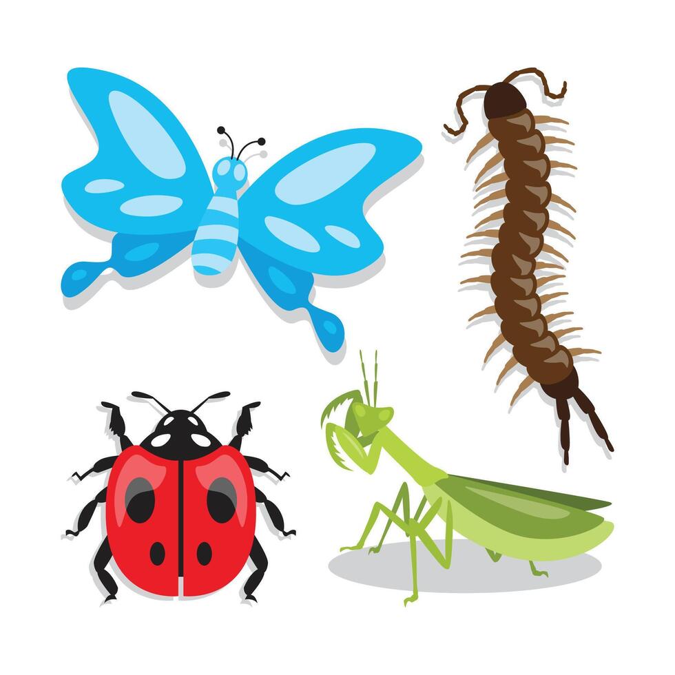 colorful insects butterfly ladybug mantis vector