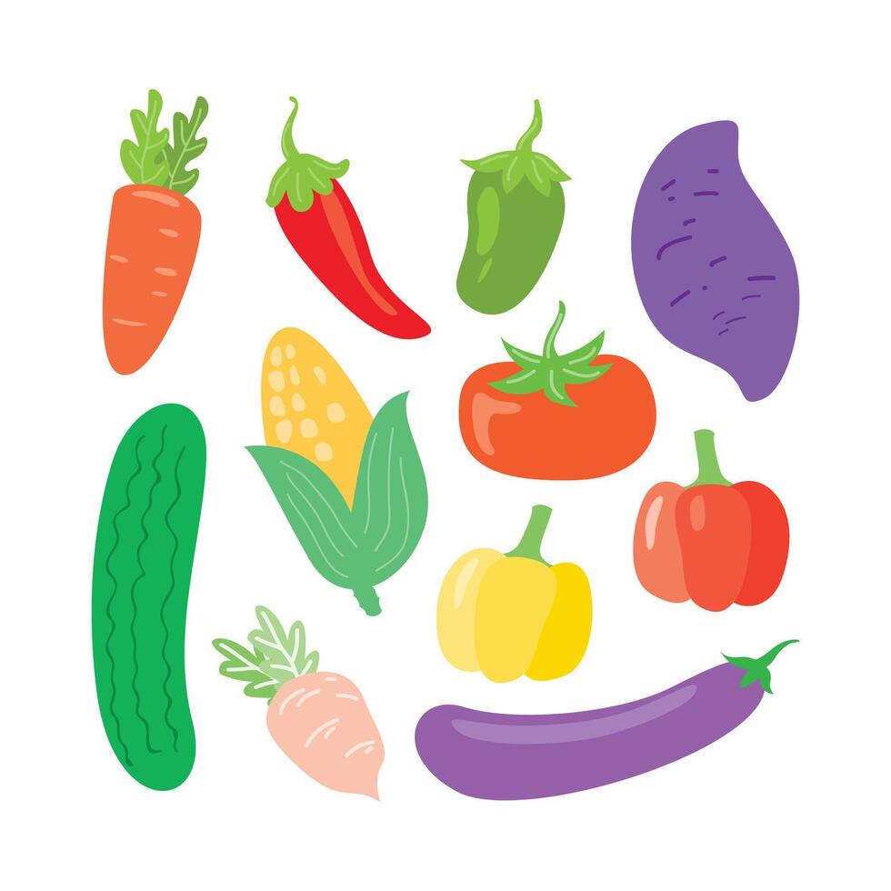 Colorful fresh vegetables illustrations vector