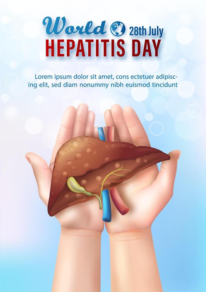 Hands holding a liver illustration vector