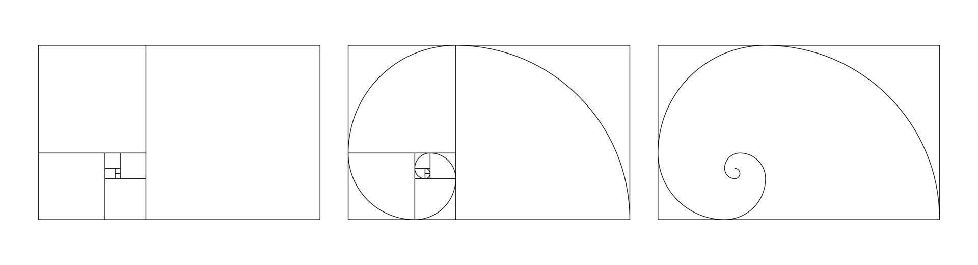 Template of golden ratio harmony proportions. Fibonacci numbers array set. vector
