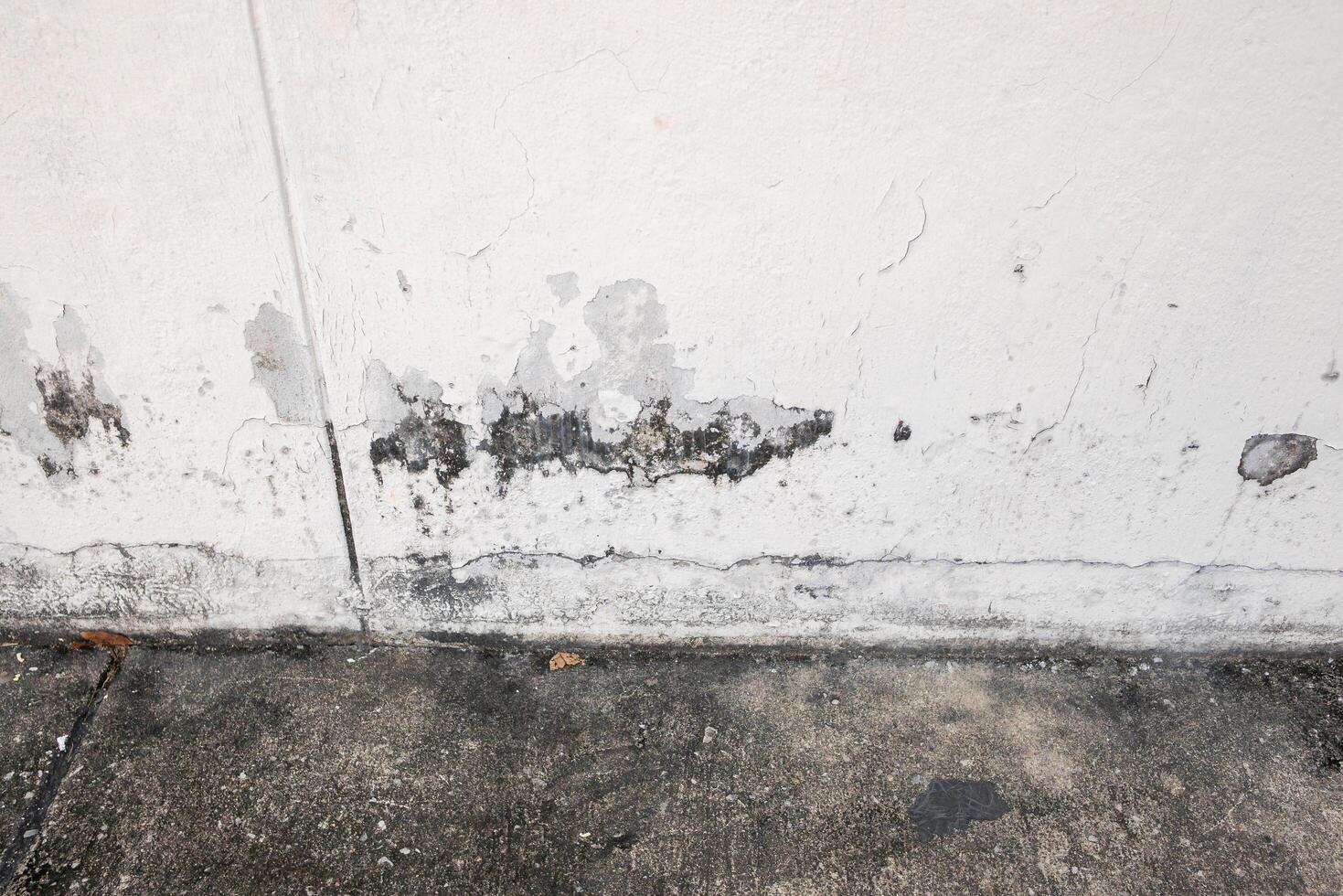 Informative guide to preventing mold damage in urban residential buildings maintenance tips photo