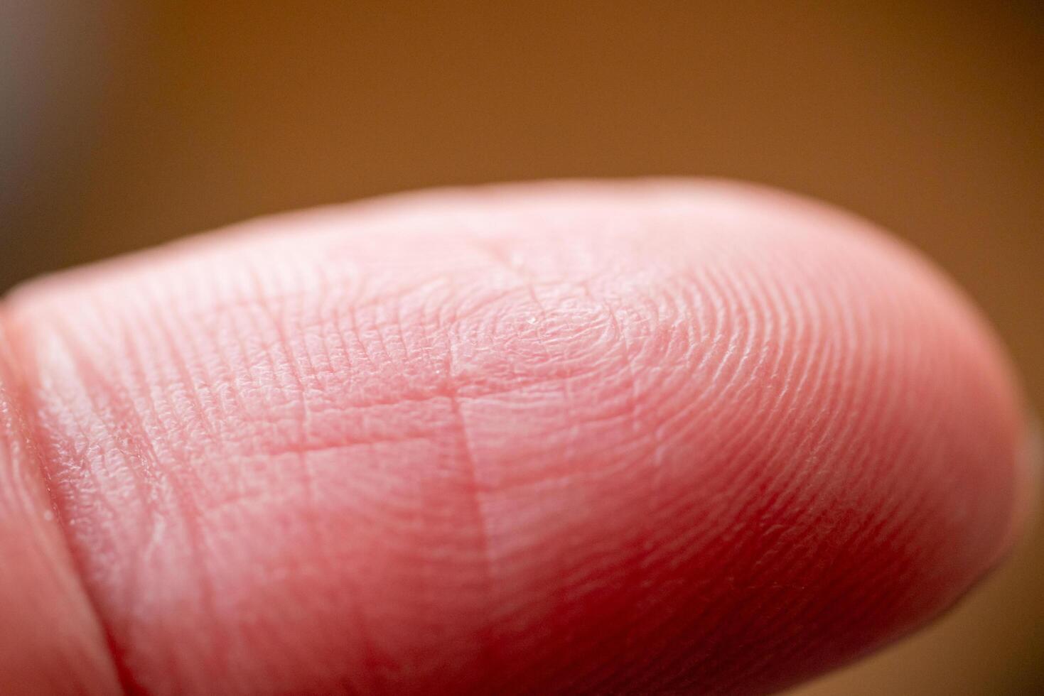 Close-up fingerprint analysis forensic laboratory macro scientific environment detailed view photo
