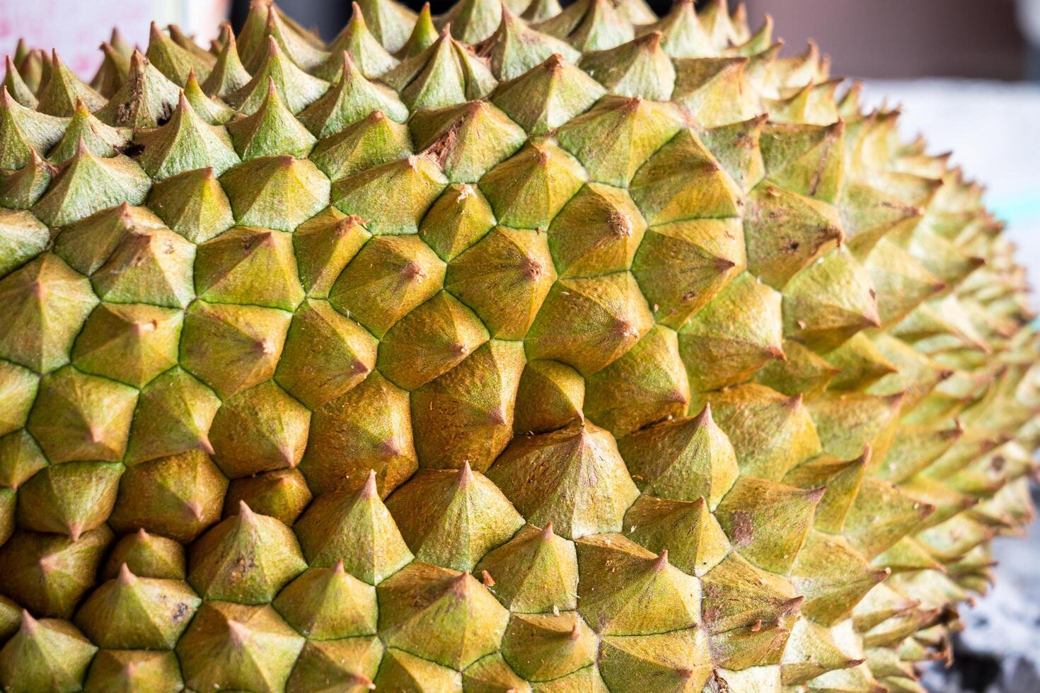Exploring the unique durian fruit southeast asia food vibrant market setting photo